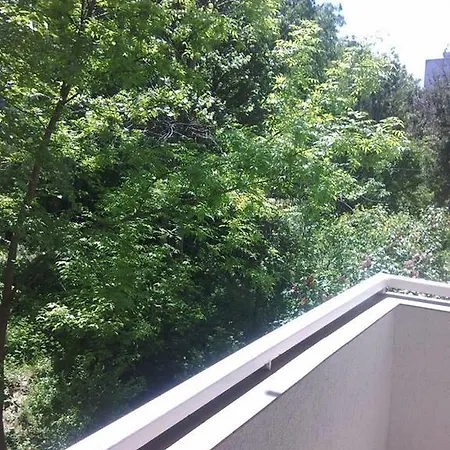 Apartament Florica