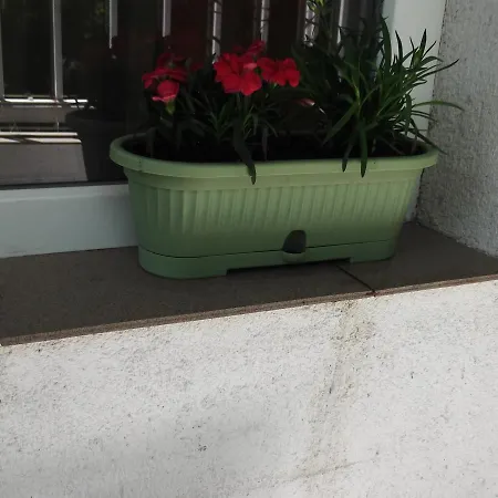 Apartament Florica Lejlighed